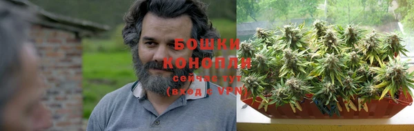 крисы Абдулино