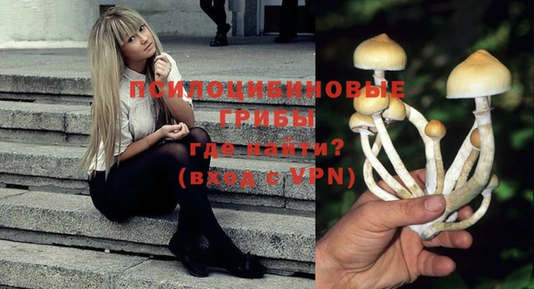 крисы Абдулино